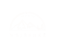 Nbjeshke Logo