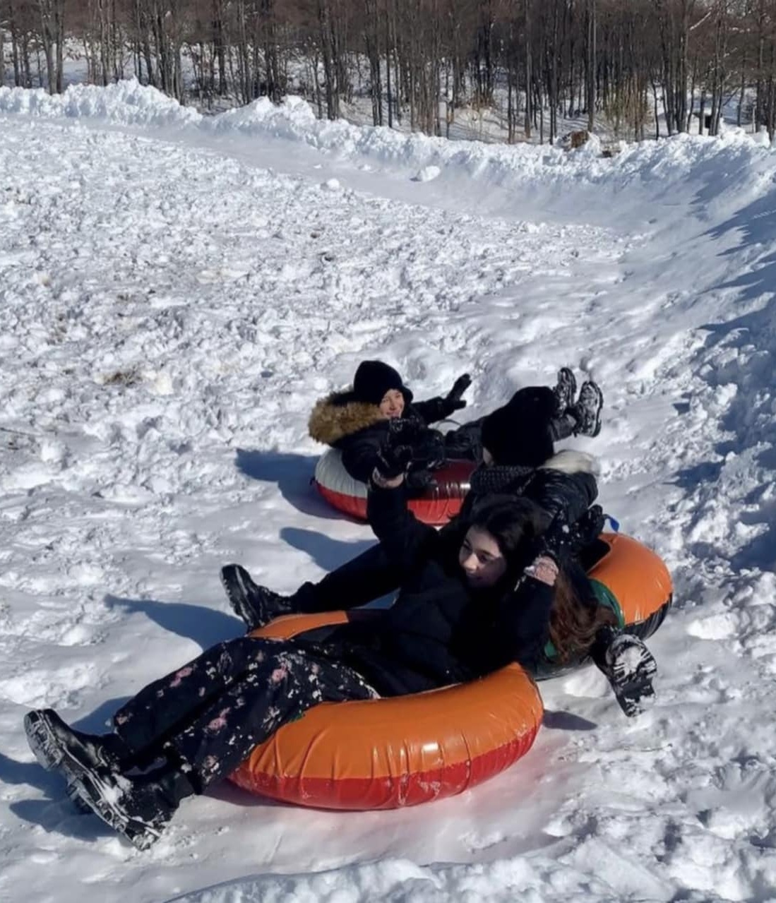 Nature view from the park